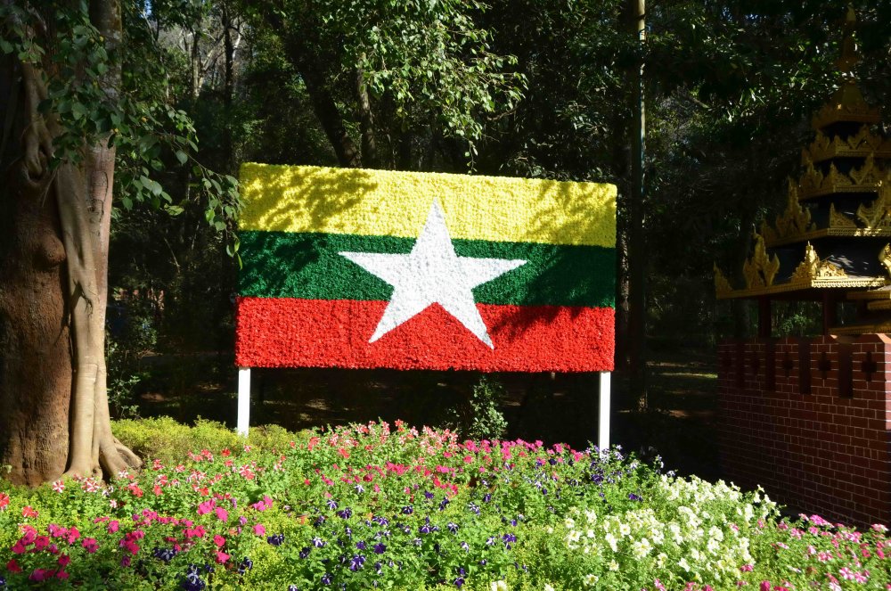 Blühende Flagge Blühende Flagge